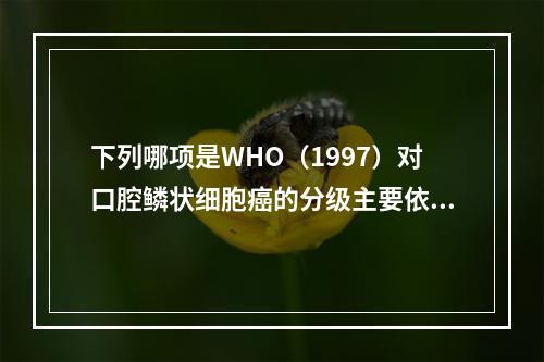 下列哪项是WHO（1997）对口腔鳞状细胞癌的分级主要依据？