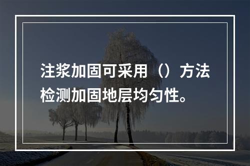 注浆加固可采用（）方法检测加固地层均匀性。