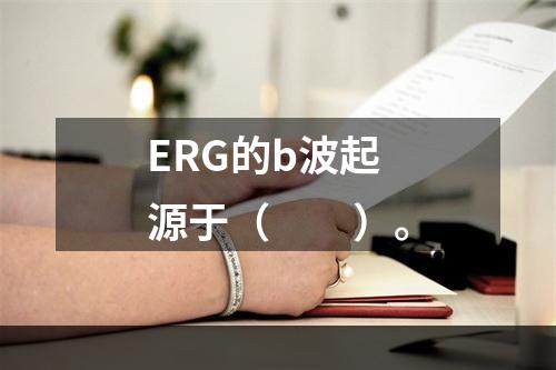 ERG的b波起源于（　　）。