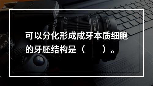 可以分化形成成牙本质细胞的牙胚结构是（　　）。