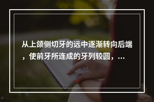 从上颌侧切牙的远中逐渐转向后端，使前牙所连成的牙列较圆，这种