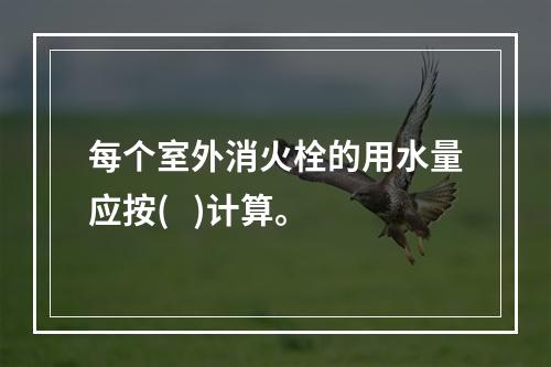 每个室外消火栓的用水量应按(   )计算。