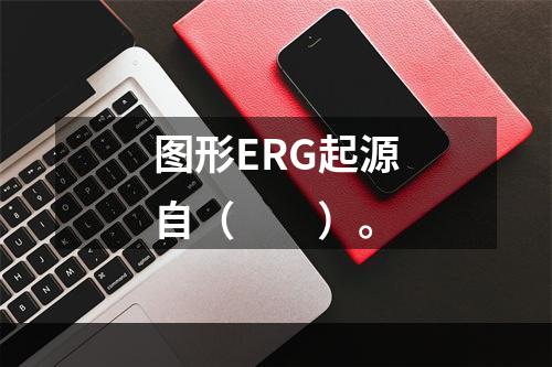 图形ERG起源自（　　）。