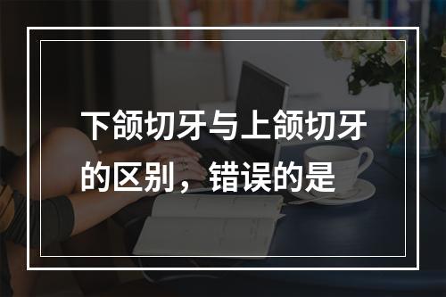 下颌切牙与上颌切牙的区别，错误的是