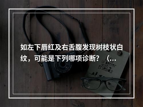 如左下唇红及右舌腹发现树枝状白纹，可能是下列哪项诊断？（　　