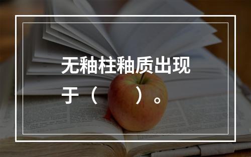 无釉柱釉质出现于（　　）。