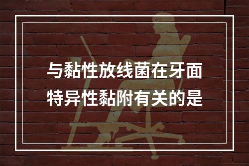 与黏性放线菌在牙面特异性黏附有关的是