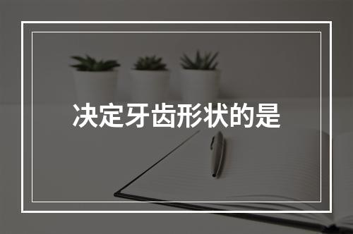 决定牙齿形状的是