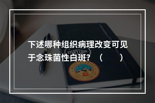 下述哪种组织病理改变可见于念珠菌性白斑？（　　）