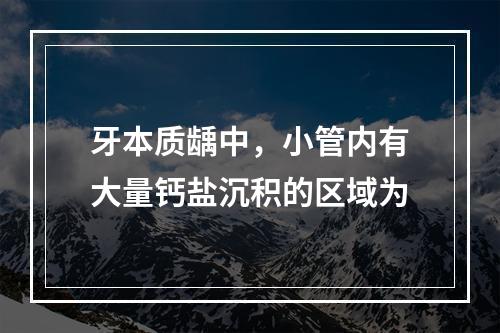 牙本质龋中，小管内有大量钙盐沉积的区域为