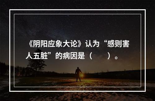 《阴阳应象大论》认为“感则害人五脏”的病因是（　　）。