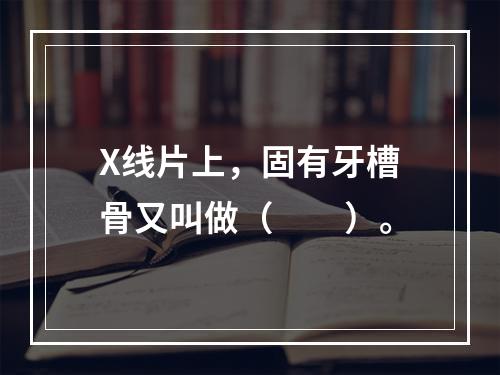 X线片上，固有牙槽骨又叫做（　　）。