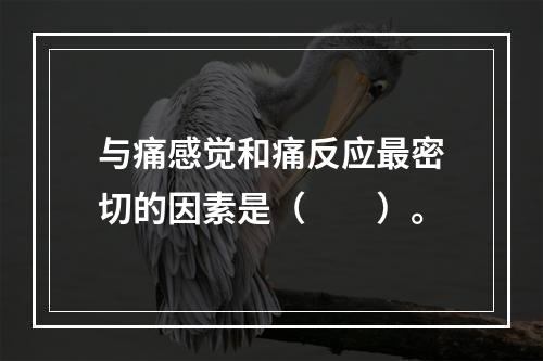 与痛感觉和痛反应最密切的因素是（　　）。