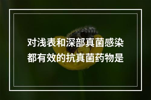 对浅表和深部真菌感染都有效的抗真菌药物是