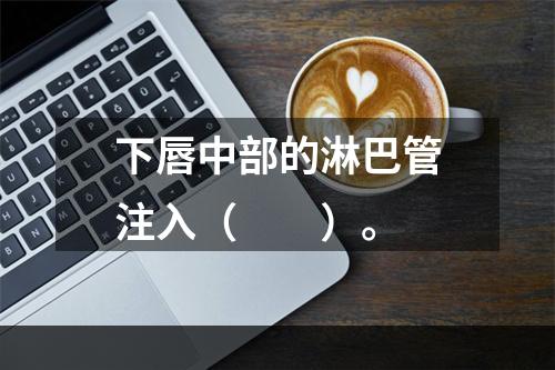 下唇中部的淋巴管注入（　　）。