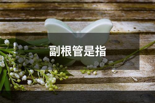 副根管是指