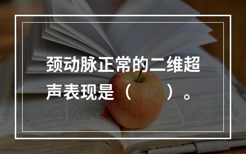 颈动脉正常的二维超声表现是（　　）。