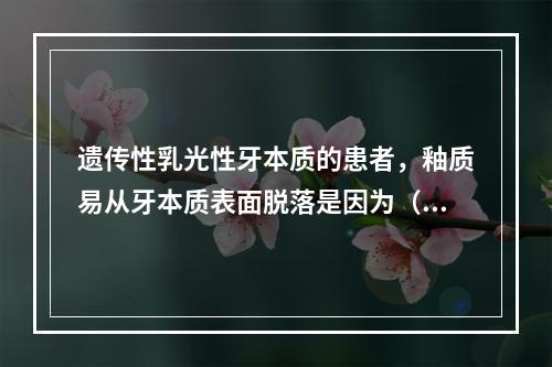 遗传性乳光性牙本质的患者，釉质易从牙本质表面脱落是因为（　　