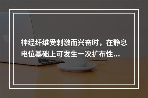 神经纤维受刺激而兴奋时，在静息电位基础上可发生一次扩布性电位