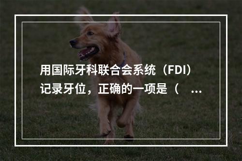 用国际牙科联合会系统（FDI）记录牙位，正确的一项是（　　）