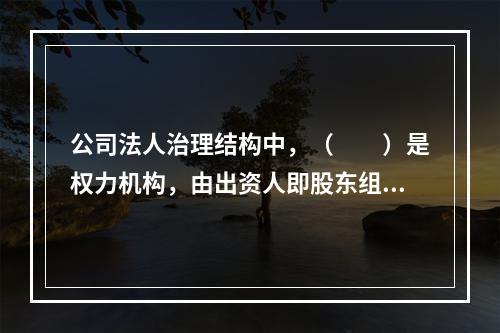 公司法人治理结构中，（　　）是权力机构，由出资人即股东组成