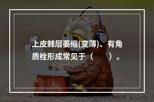 上皮棘层萎缩(变薄)、有角质栓形成常见于（　　）。