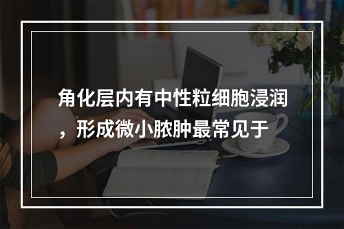 角化层内有中性粒细胞浸润，形成微小脓肿最常见于