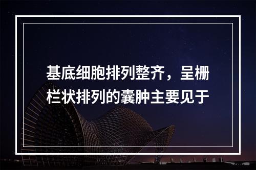 基底细胞排列整齐，呈栅栏状排列的囊肿主要见于