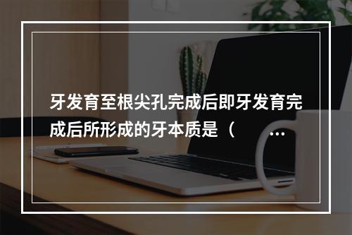 牙发育至根尖孔完成后即牙发育完成后所形成的牙本质是（　　）。