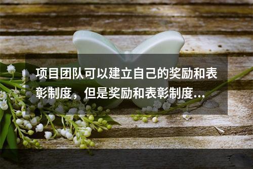 项目团队可以建立自己的奖励和表彰制度，但是奖励和表彰制度必