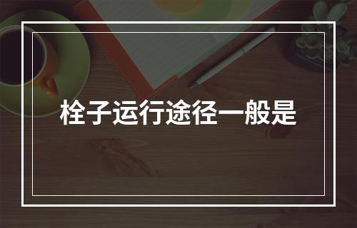 栓子运行途径一般是