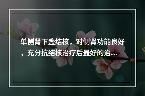 单侧肾下盏结核，对侧肾功能良好，充分抗结核治疗后最好的治疗方