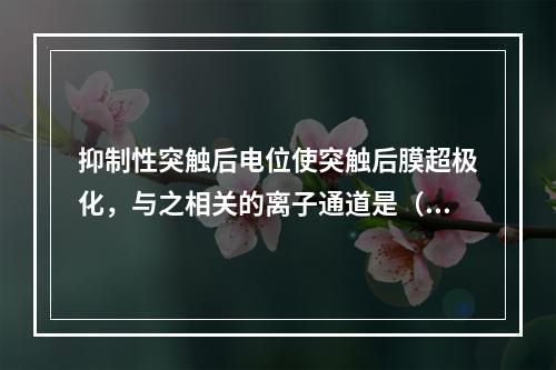 抑制性突触后电位使突触后膜超极化，与之相关的离子通道是（　　