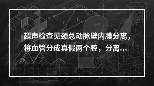 超声检查见颈总动脉壁内膜分离，将血管分成真假两个腔，分离的