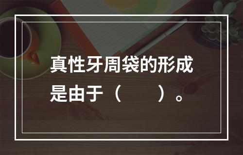 真性牙周袋的形成是由于（　　）。