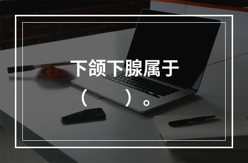 下颌下腺属于（　　）。