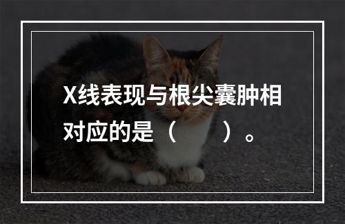 X线表现与根尖囊肿相对应的是（　　）。