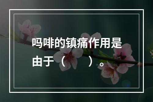 吗啡的镇痛作用是由于（　　）。