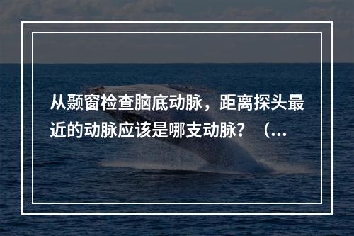 从颞窗检查脑底动脉，距离探头最近的动脉应该是哪支动脉？（　