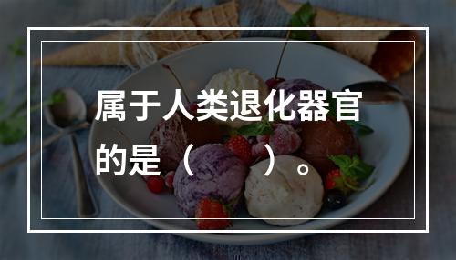 属于人类退化器官的是（　　）。