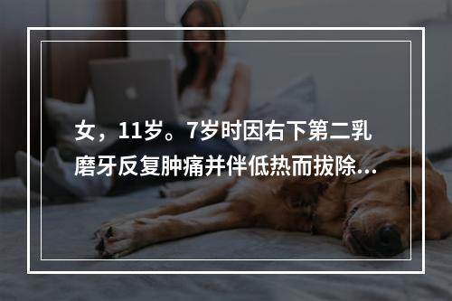 女，11岁。7岁时因右下第二乳磨牙反复肿痛并伴低热而拔除，现