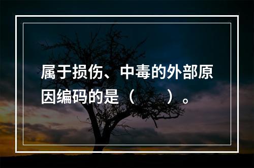 属于损伤、中毒的外部原因编码的是（　　）。