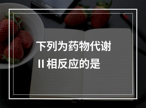 下列为药物代谢Ⅱ相反应的是