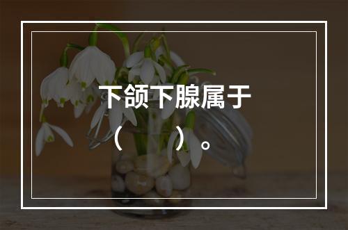 下颌下腺属于（　　）。