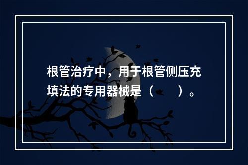 根管治疗中，用于根管侧压充填法的专用器械是（　　）。