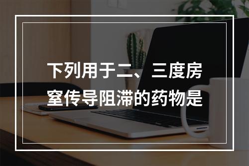 下列用于二、三度房窒传导阻滞的药物是