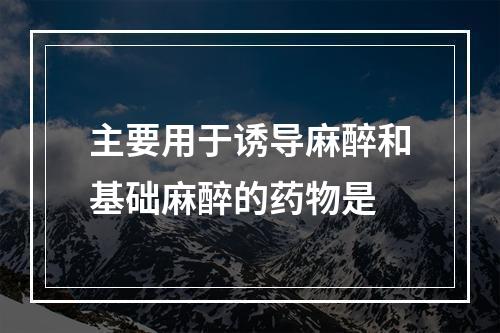 主要用于诱导麻醉和基础麻醉的药物是