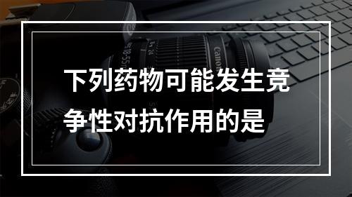 下列药物可能发生竞争性对抗作用的是