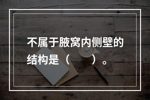 不属于腋窝内侧壁的结构是（　　）。