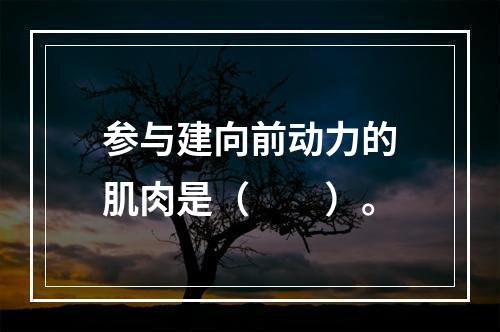 参与建向前动力的肌肉是（　　）。